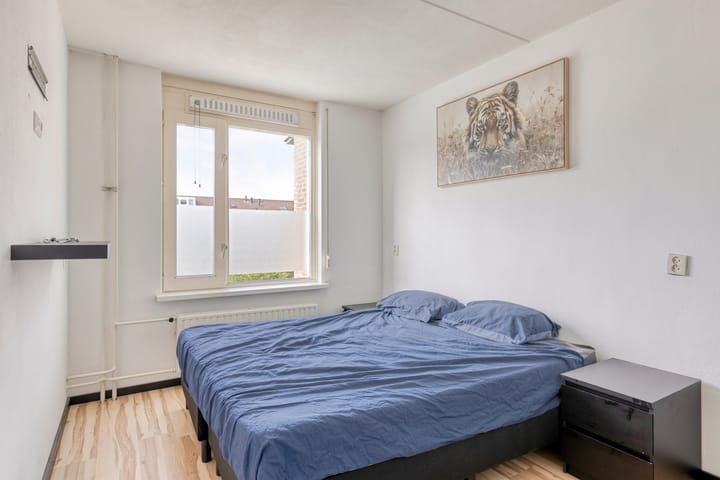 Foto 16 van Faunasingel 25