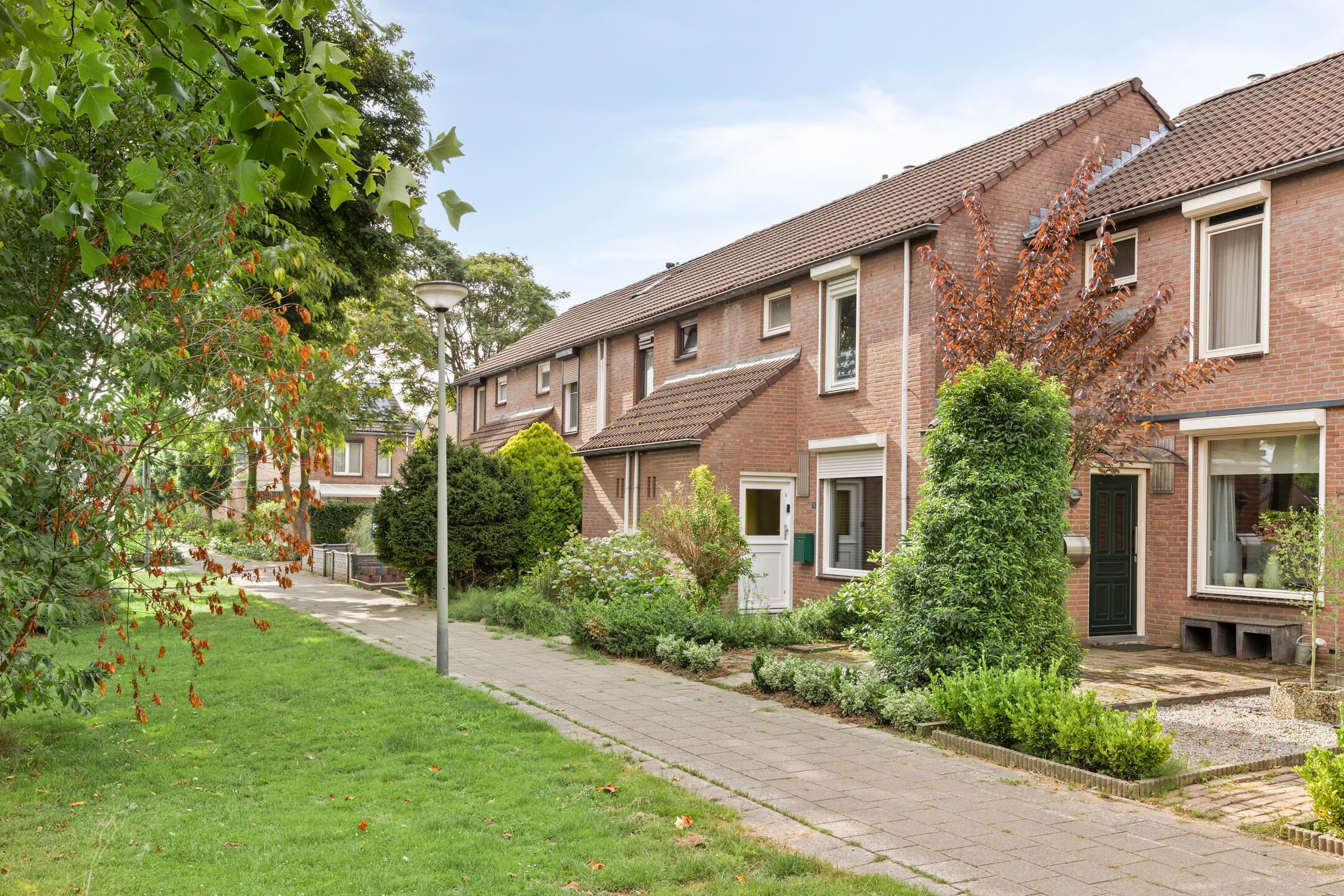 Photo 27 of Faunasingel 25