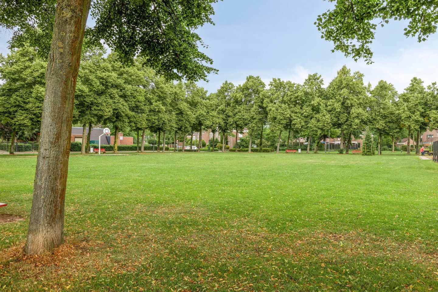 Photo 29 of Faunasingel 25