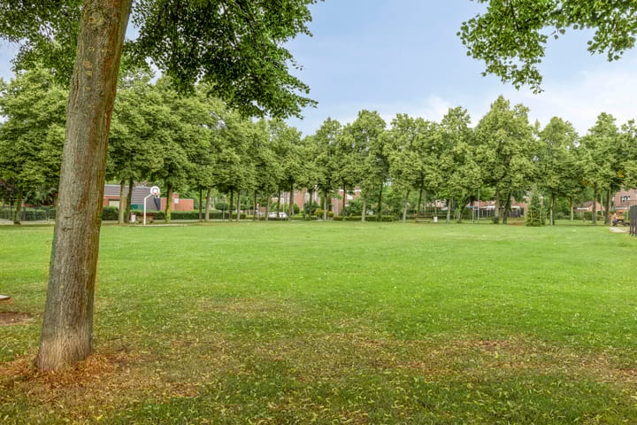 Foto 29 van Faunasingel 25