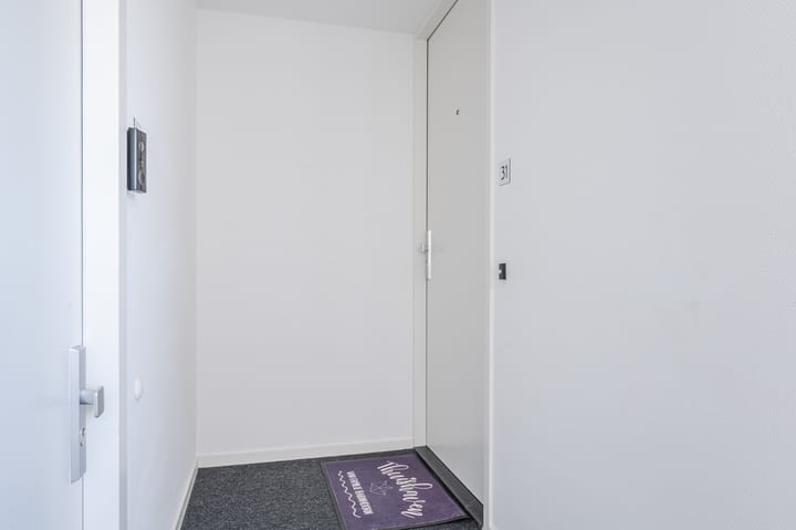 Foto 5 van Hoftuinplein 31