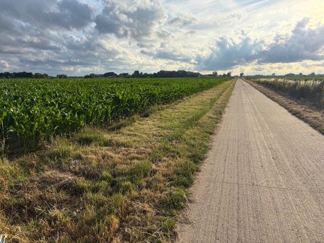 View photo 2 of Maasdijk