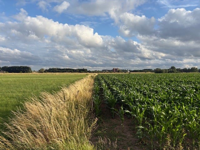 View photo 3 of Maasdijk