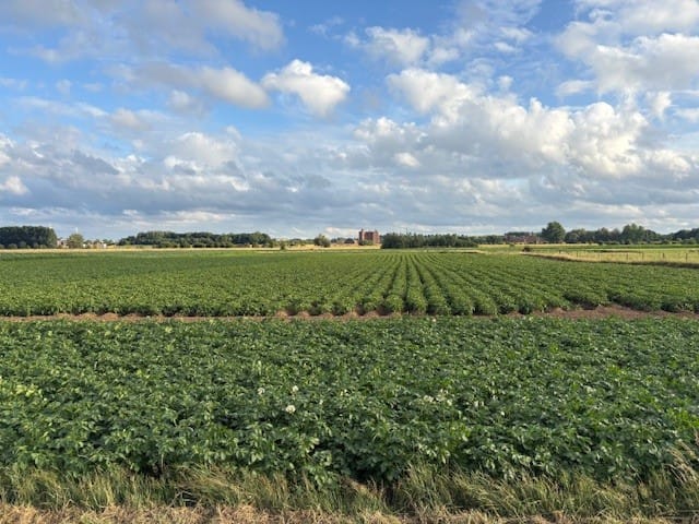 View photo 4 of Maasdijk