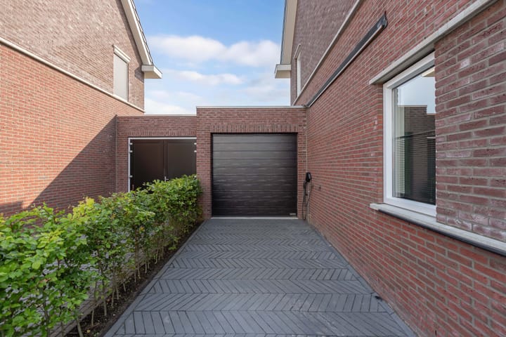 Foto 2 van Distelvlinder 41