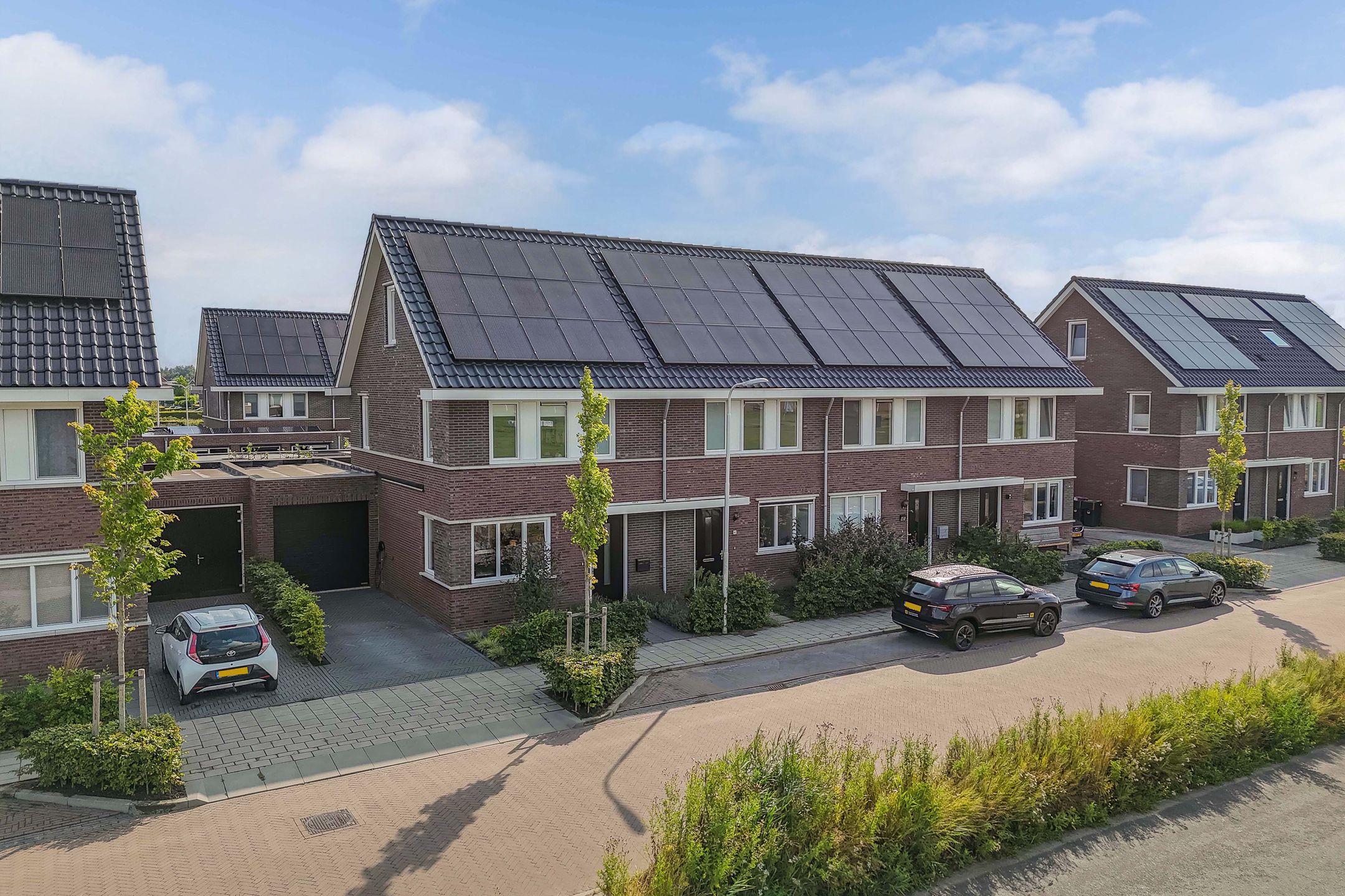 Foto 6 van Distelvlinder 41