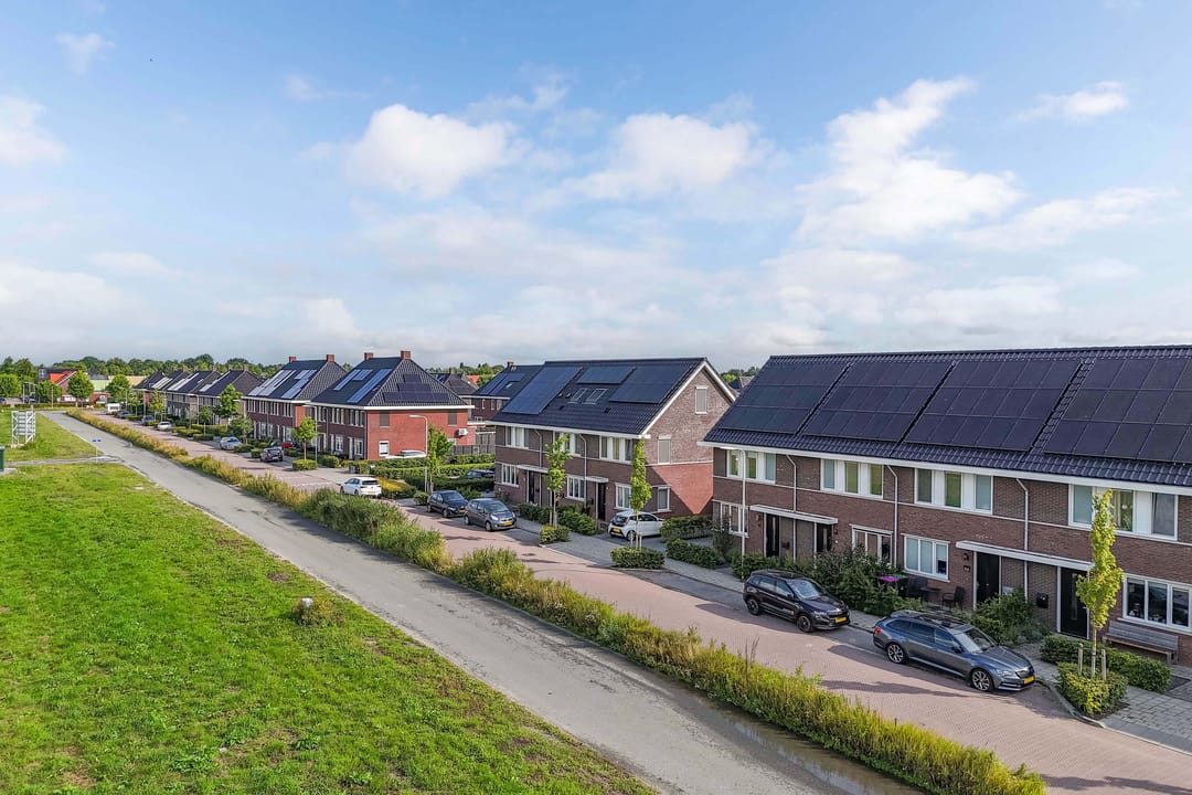 Foto 7 van Distelvlinder 41