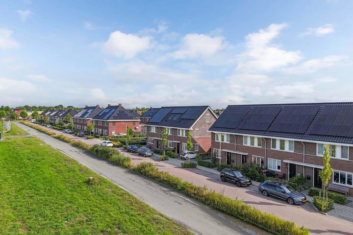 Foto 7 van Distelvlinder 41