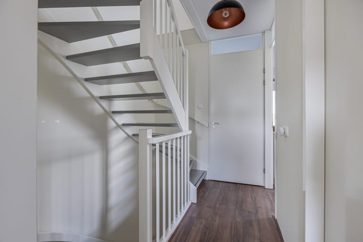 Foto 21 van Distelvlinder 41