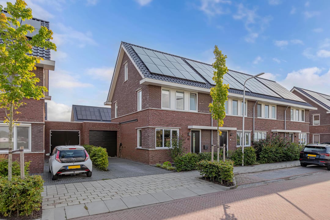 Foto 37 van Distelvlinder 41