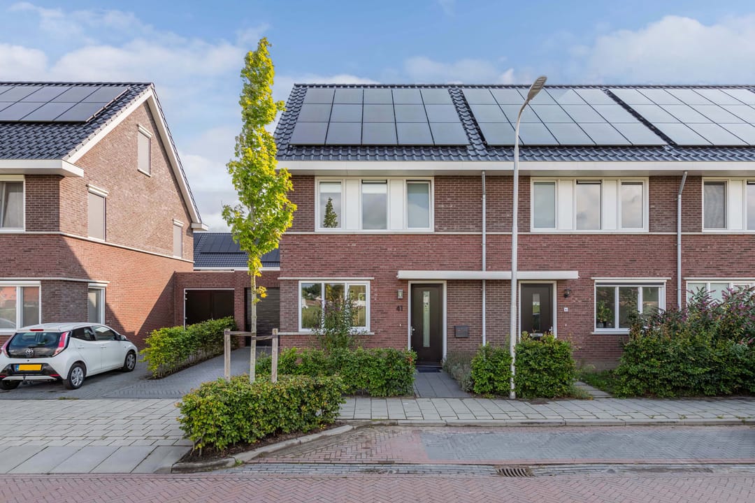 Foto 38 van Distelvlinder 41