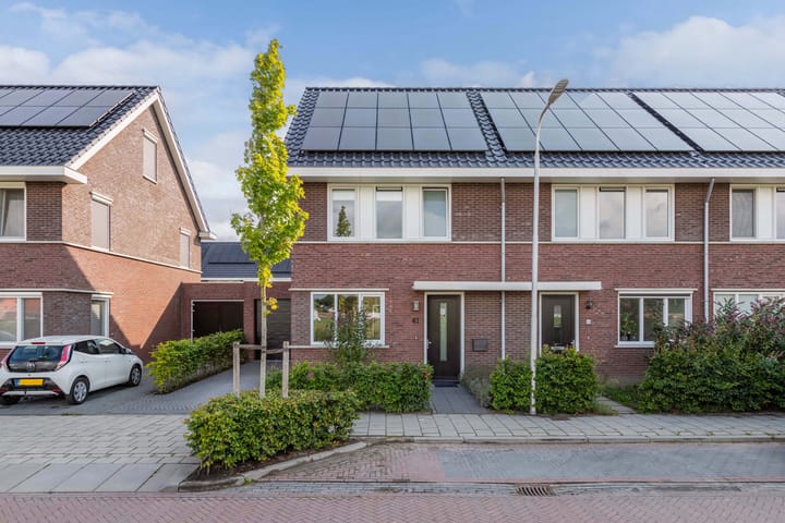 Foto 38 van Distelvlinder 41