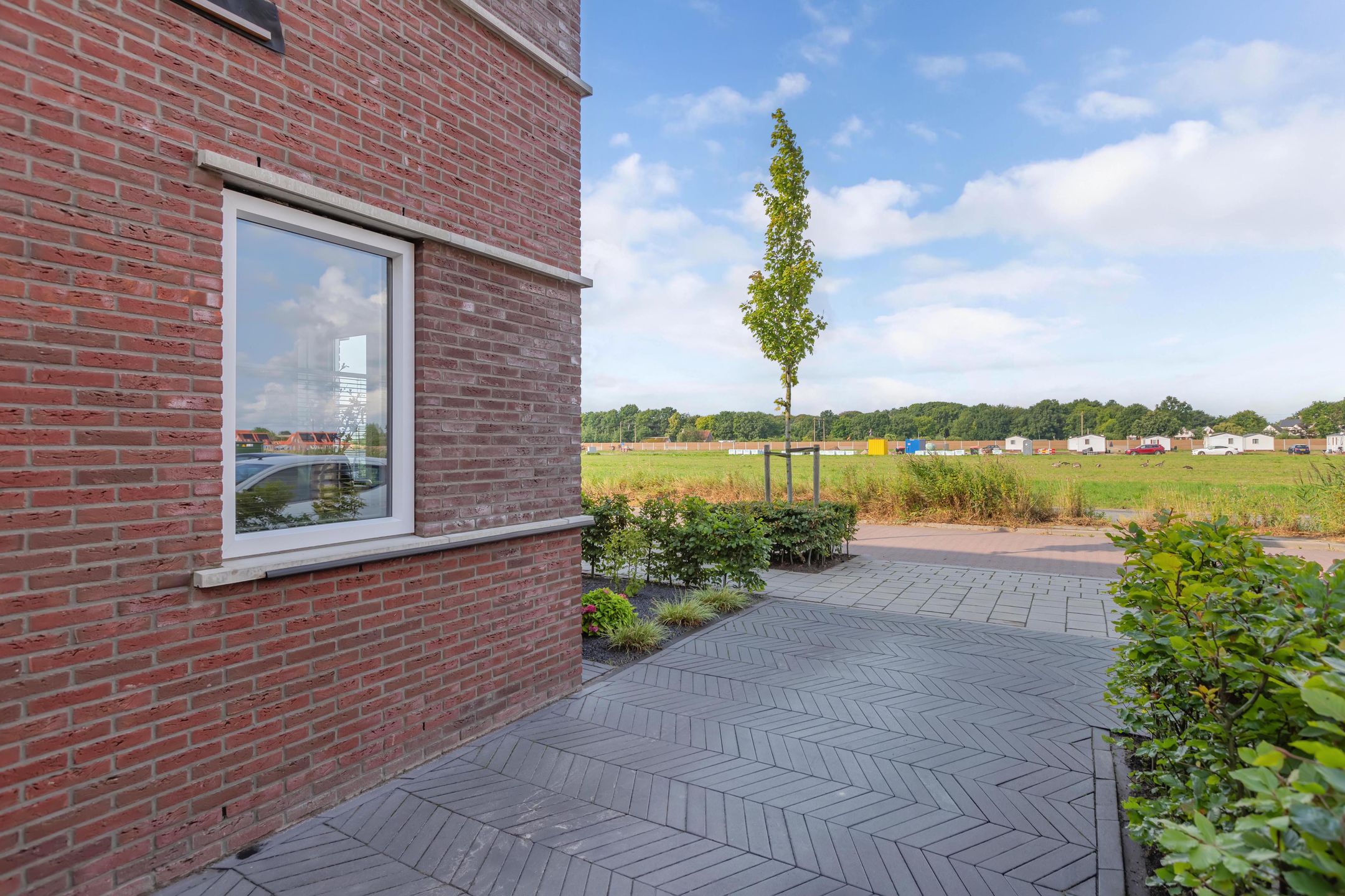 Foto 39 van Distelvlinder 41