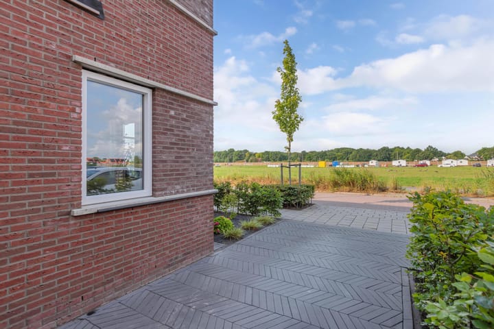 Foto 39 van Distelvlinder 41