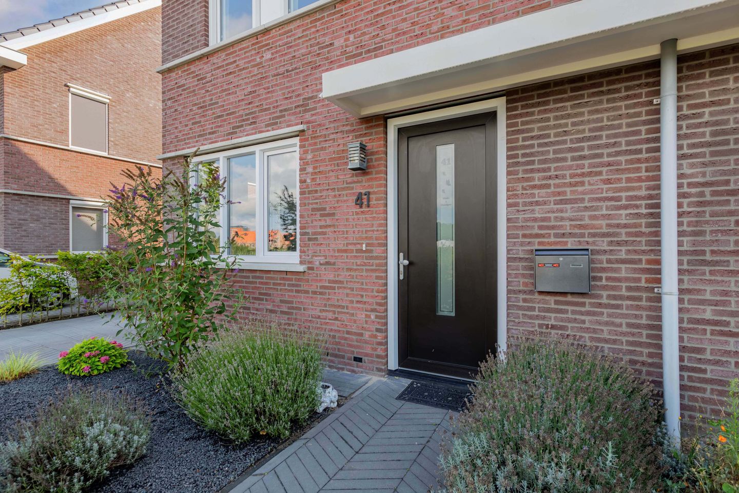 Foto 40 van Distelvlinder 41