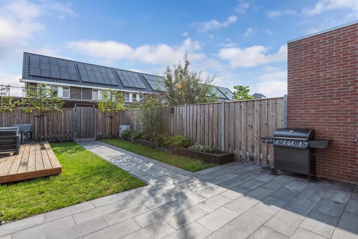 Foto 42 van Distelvlinder 41