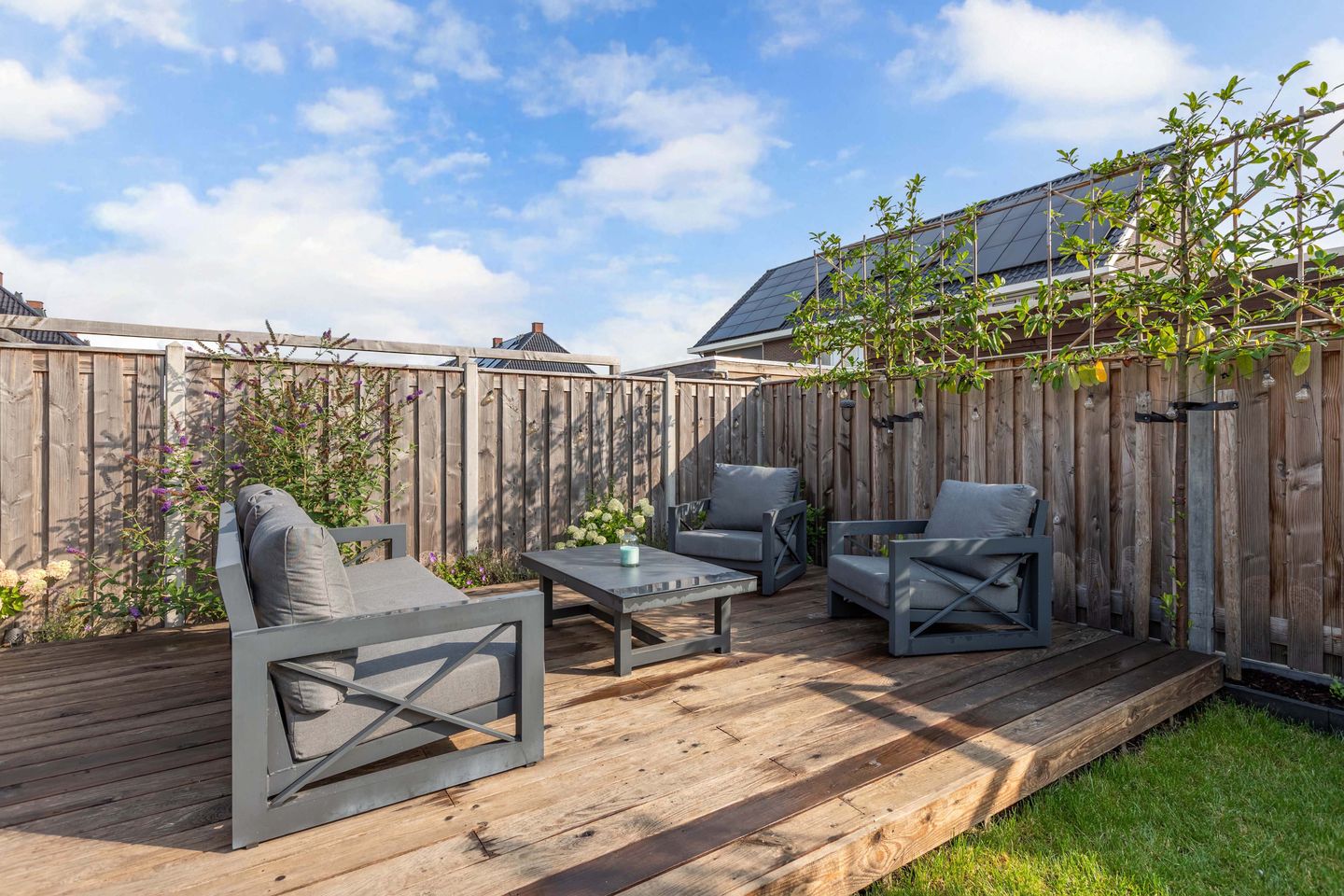 Foto 44 van Distelvlinder 41