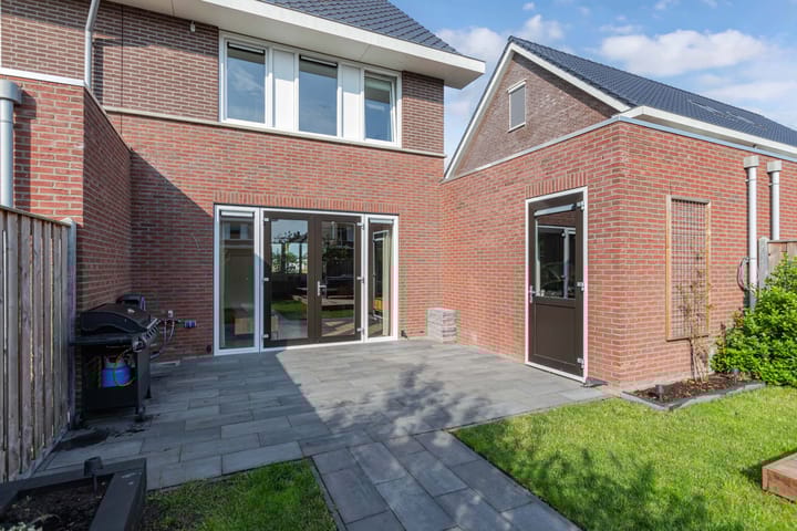 Foto 48 van Distelvlinder 41