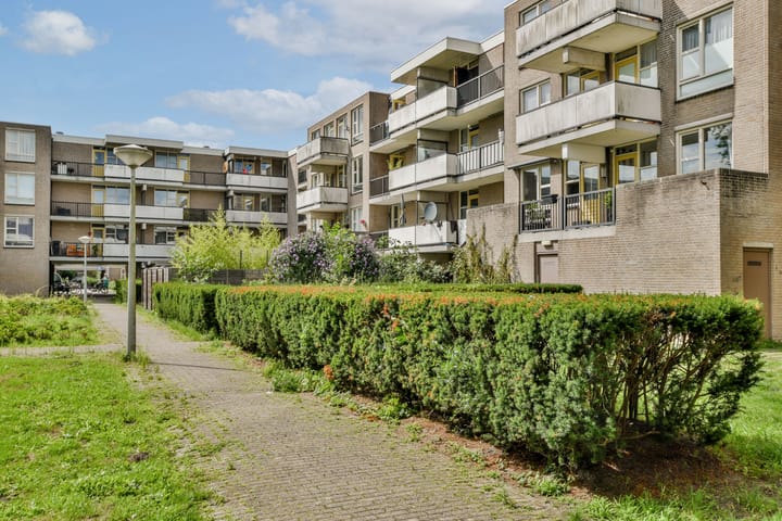 Foto 15 van Wamelplein 154