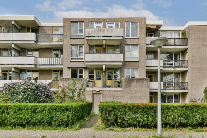 Foto 14 van Wamelplein 154