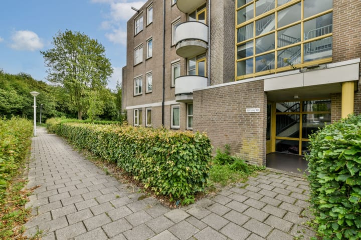 Foto 13 van Wamelplein 154