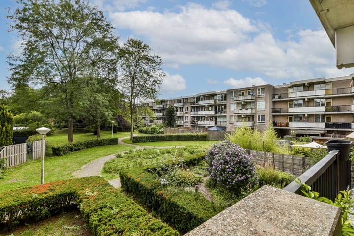 Foto 8 van Wamelplein 154