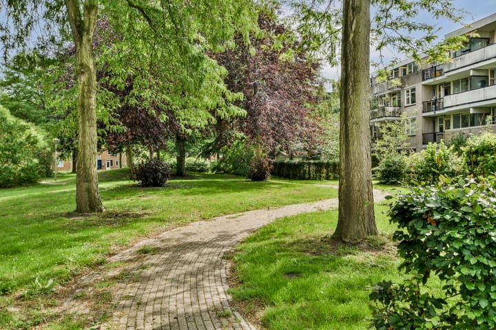 Foto 16 van Wamelplein 154