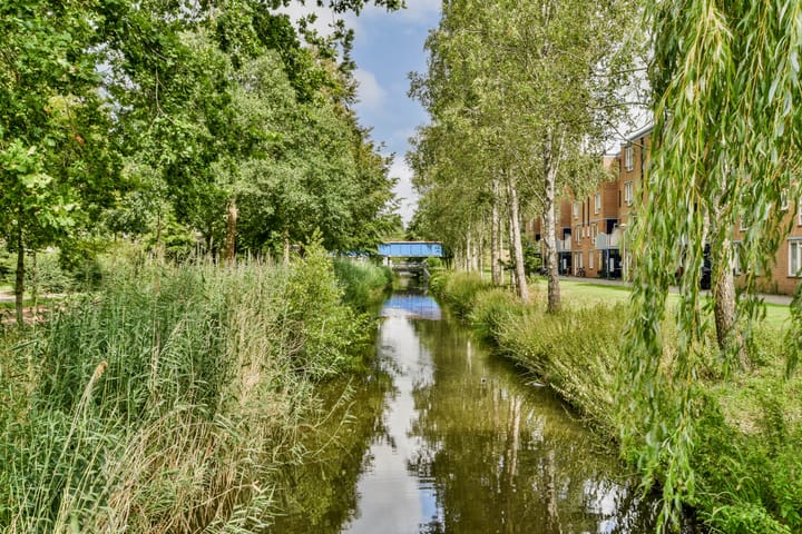 Foto 17 van Wamelplein 154