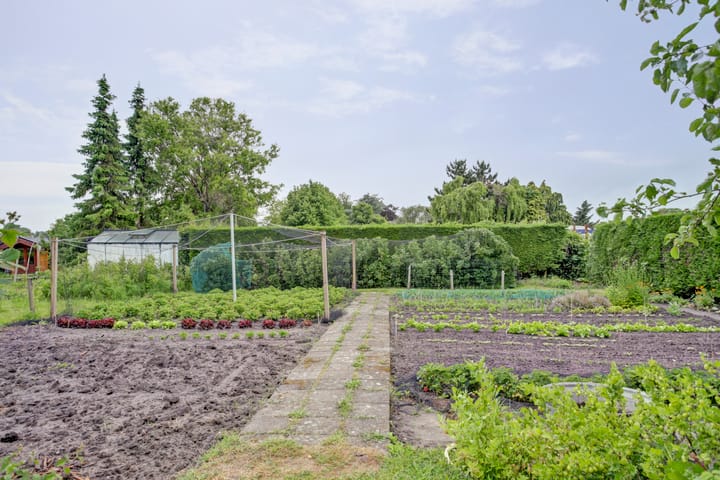 Photo 34 of Bovenweg 16