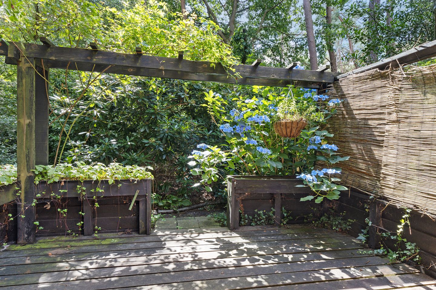 Foto 4 van Sterrenlaan 6