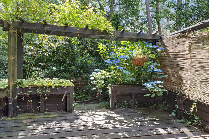 Foto 4 van Sterrenlaan 6