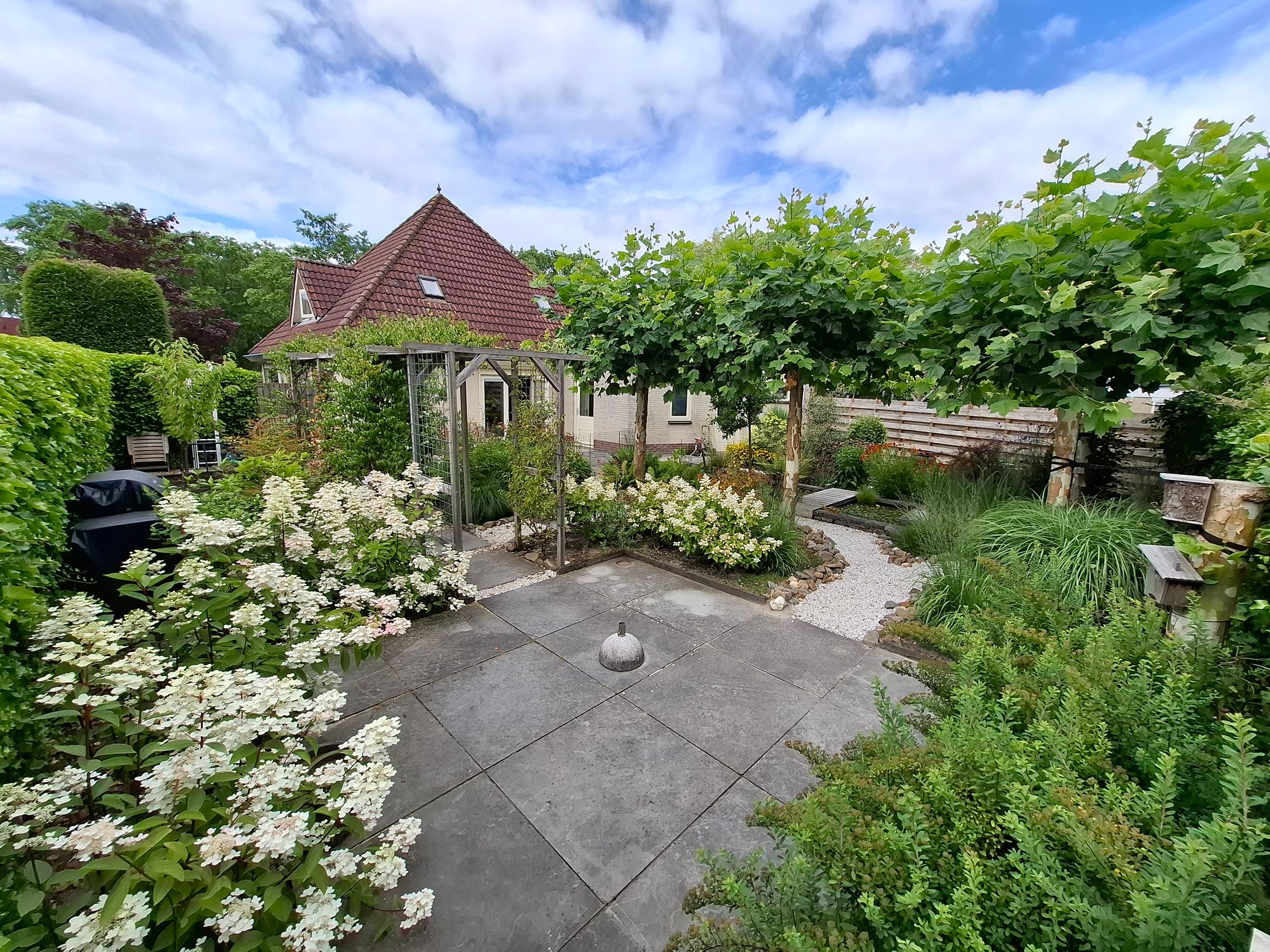 Foto 3 van Blauwmaad 50