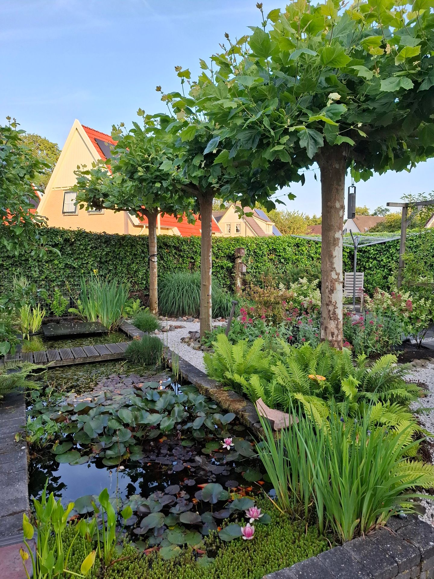 Foto 4 van Blauwmaad 50