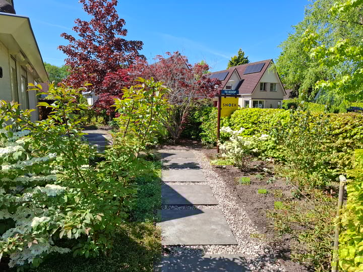 Foto 6 van Blauwmaad 50