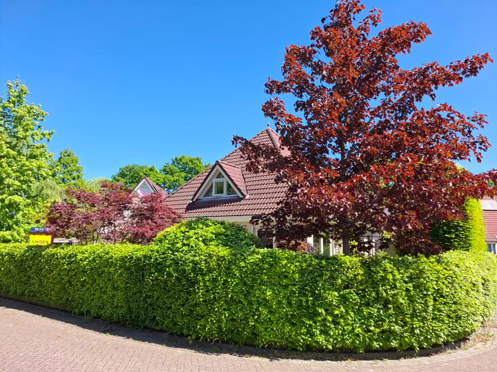 Foto 8 van Blauwmaad 50