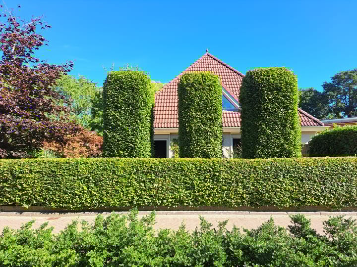 Foto 9 van Blauwmaad 50