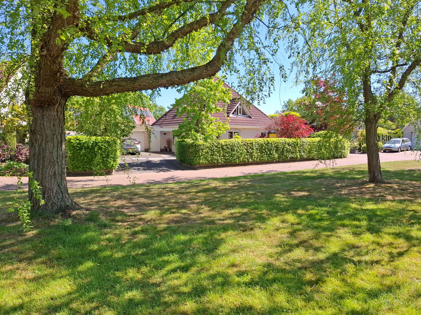 Foto 10 van Blauwmaad 50