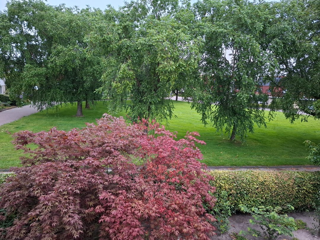 Foto 37 van Blauwmaad 50