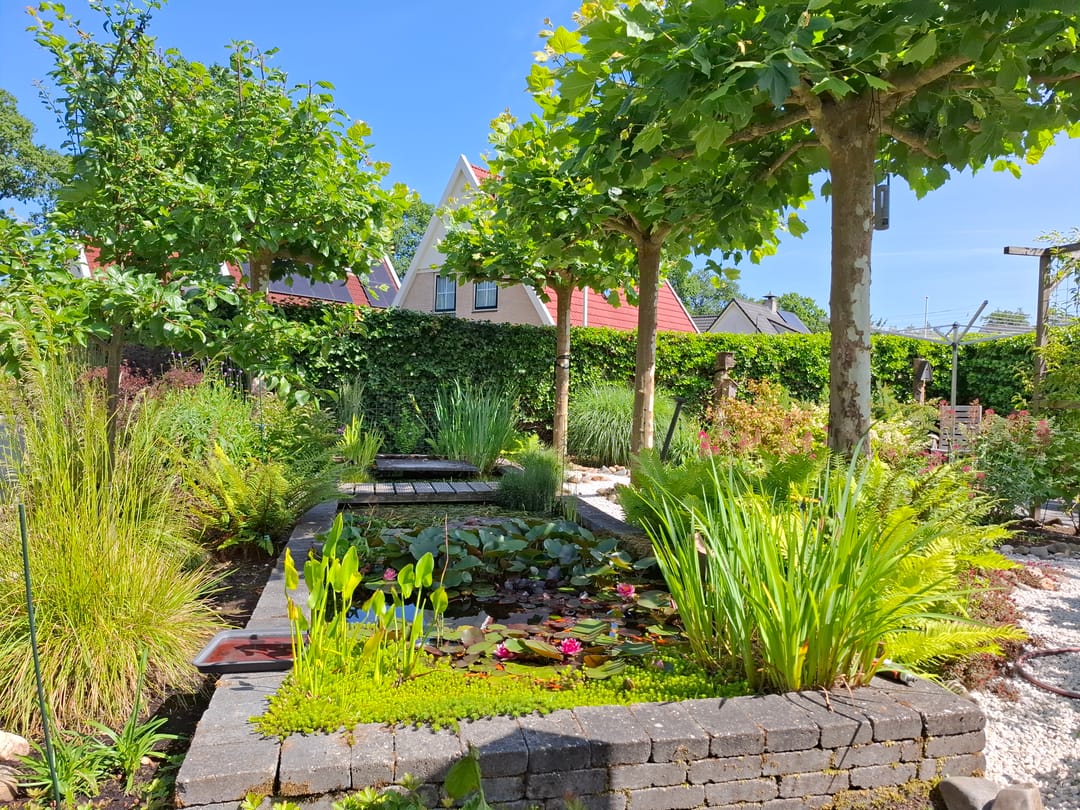 Foto 41 van Blauwmaad 50