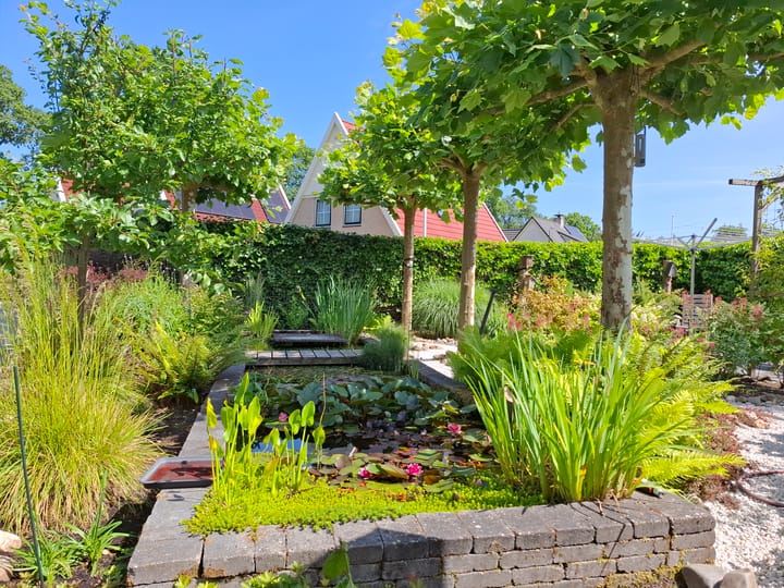 Foto 41 van Blauwmaad 50