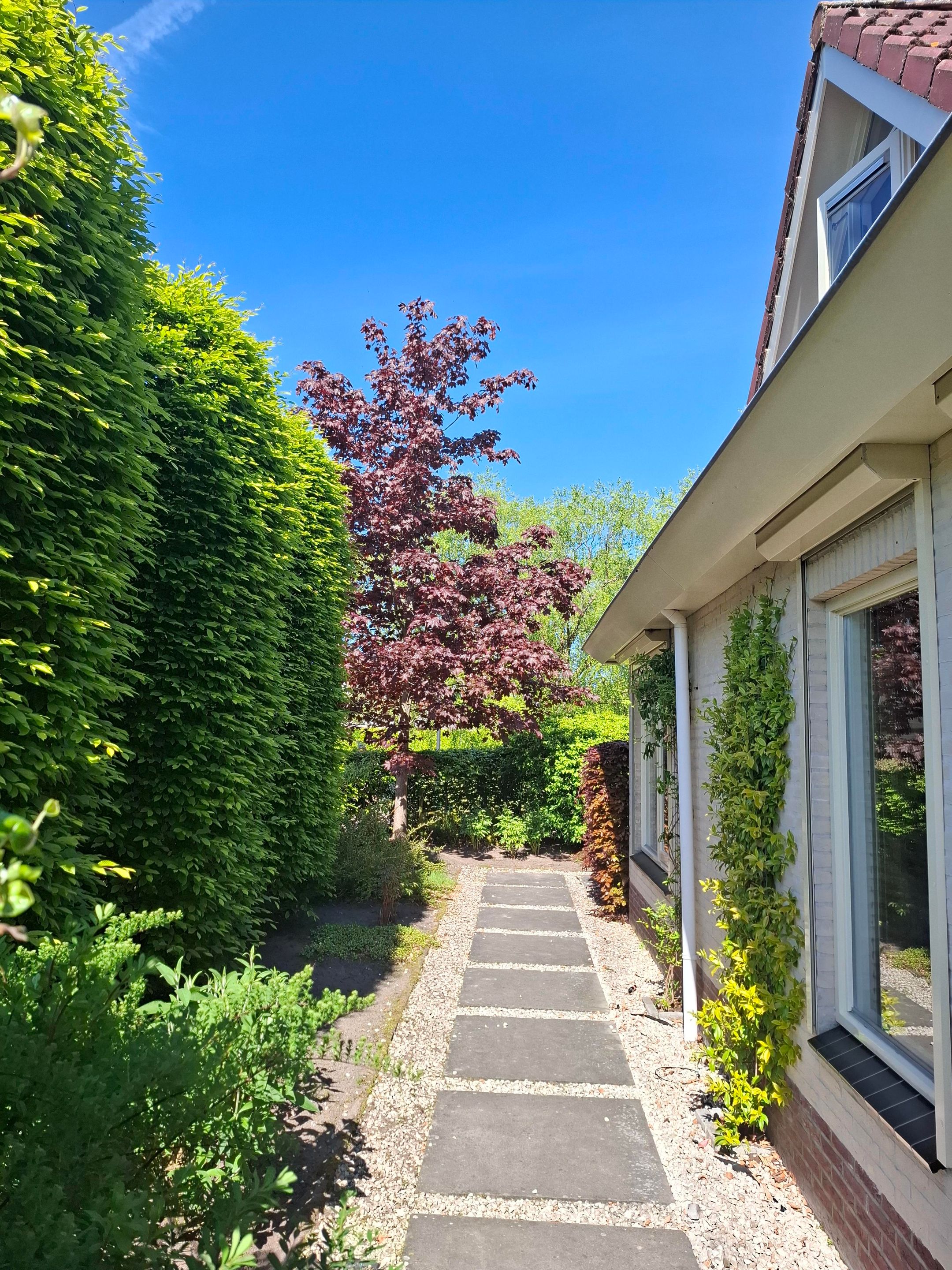 Foto 42 van Blauwmaad 50