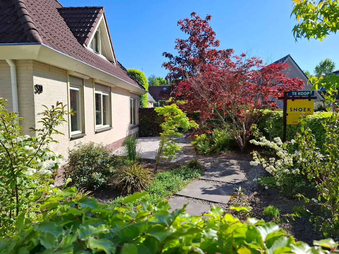 Foto 43 van Blauwmaad 50