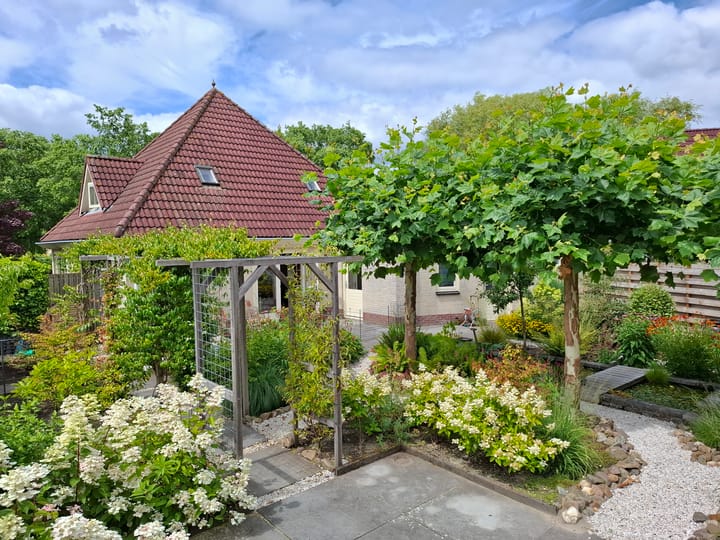 Foto 44 van Blauwmaad 50