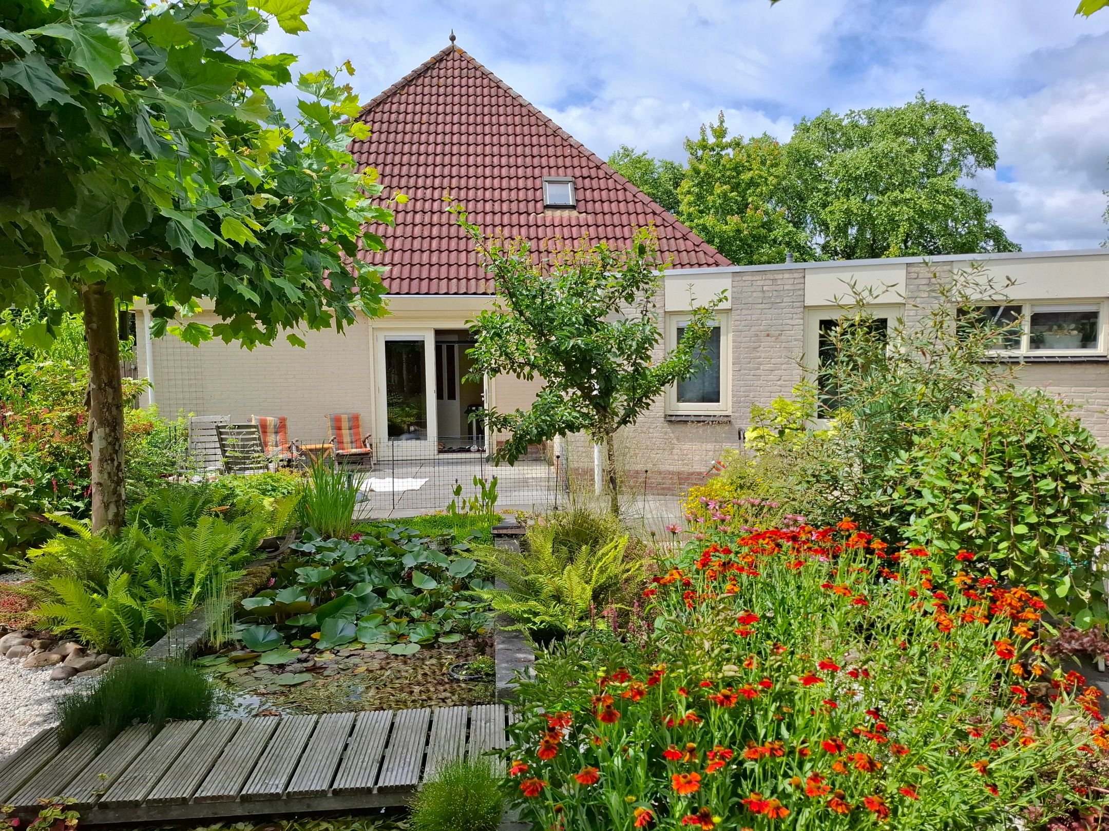 Foto 45 van Blauwmaad 50