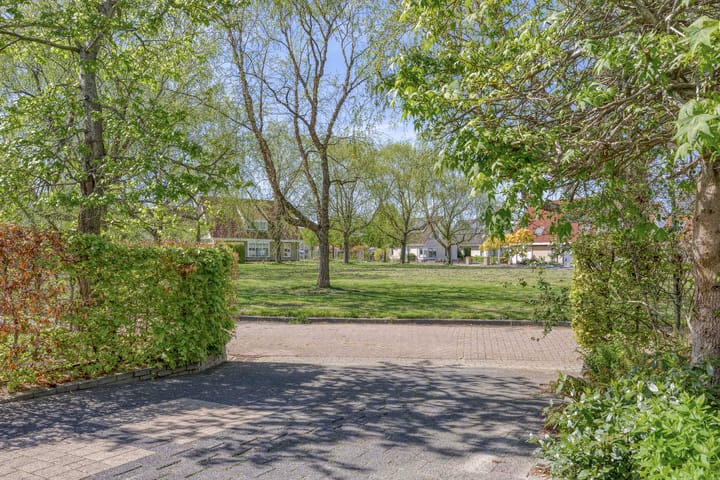 Foto 49 van Blauwmaad 50