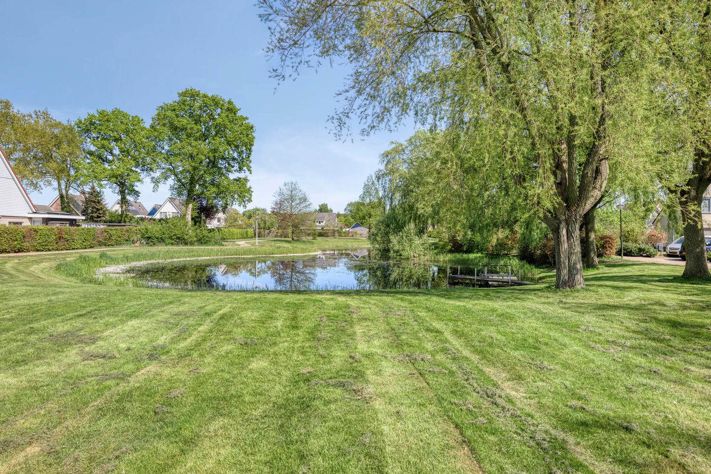 Foto 50 van Blauwmaad 50