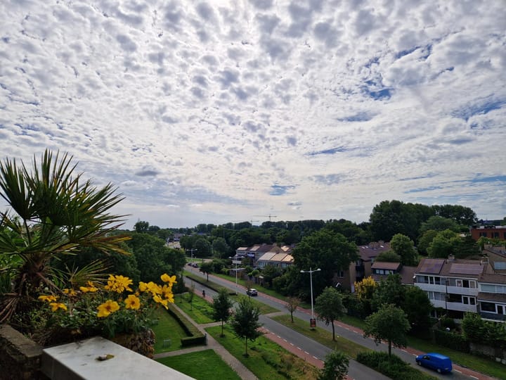 Foto 12 van Vestastraat 133