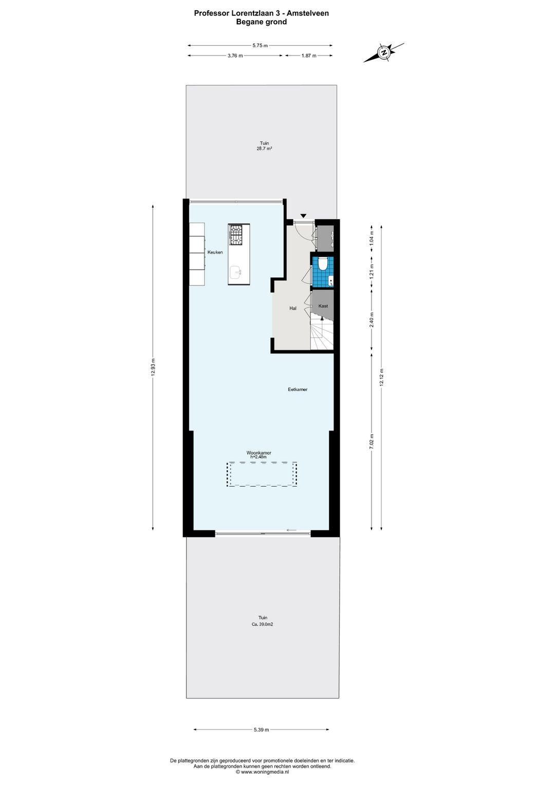 Foto 46 van Prof. Lorentzlaan 3