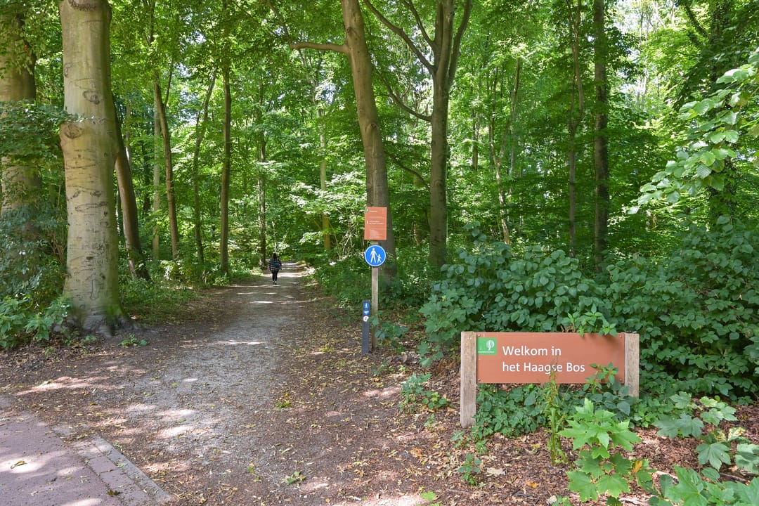 Foto 28 van Leidsestraatweg 15-111