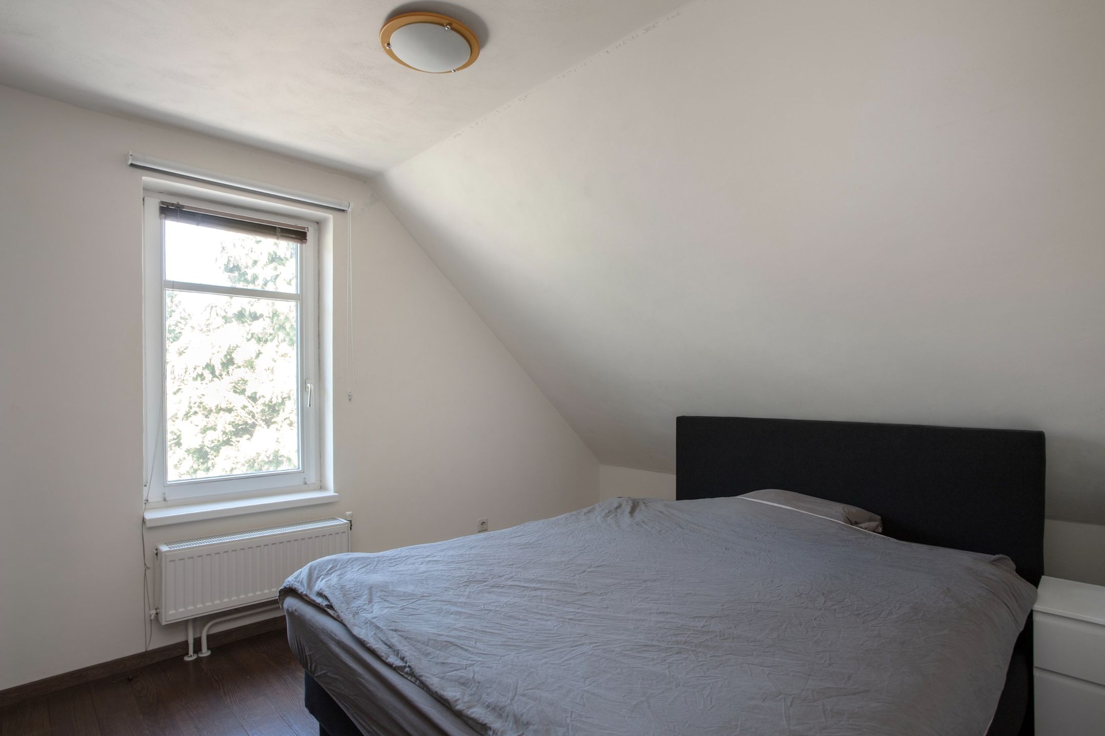 Foto 18 van Zeegstraat 56